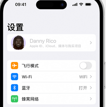 荔城appleID维修服务iPhone设置中Apple ID显示为灰色无法使用