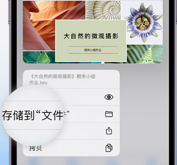 荔城apple维修中心分享iPhone文件应用中存储和找到下载文件