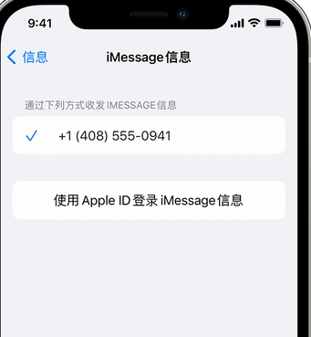 荔城apple维修iPhone上无法正常发送iMessage信息 