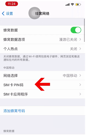 荔城苹果14维修网分享如何给iPhone14的SIM卡设置密码 