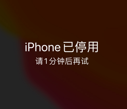 荔城苹果手机维修分享:iPhone 显示“不可用”或“已停用”怎么办？还能保留数据吗？ 