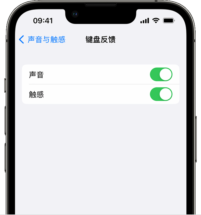 荔城苹果14维修店分享如何在 iPhone 14 机型中使用触感键盘 