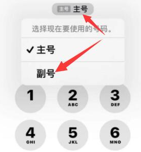 荔城苹果14维修店分享iPhone 14 Pro Max使用副卡打电话的方法 