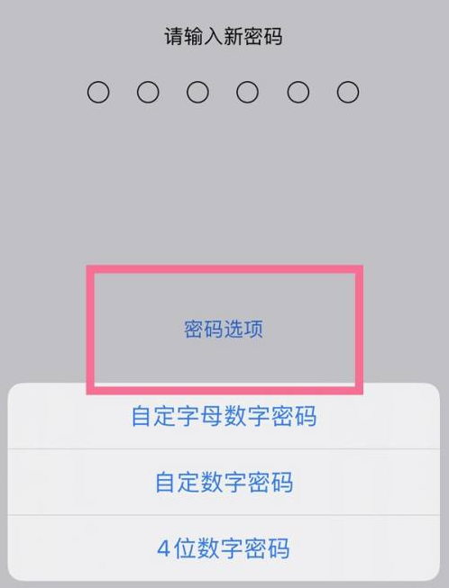 荔城苹果14维修分享iPhone 14plus设置密码的方法 