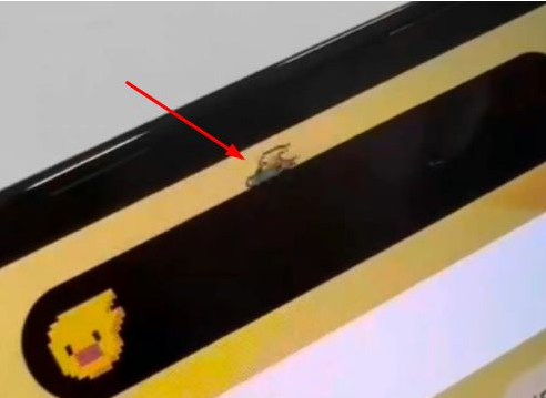 荔城苹果14维修分享iPhone 14 Pro Max灵动岛怎么养宠物 