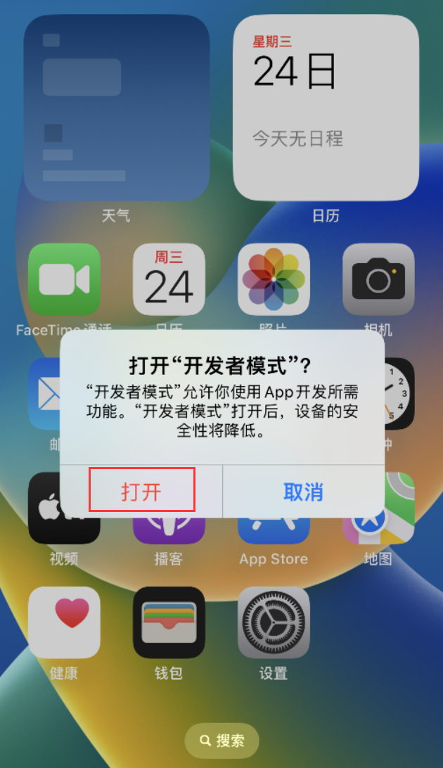 荔城苹果手机维修分享如何打开开发者模式 