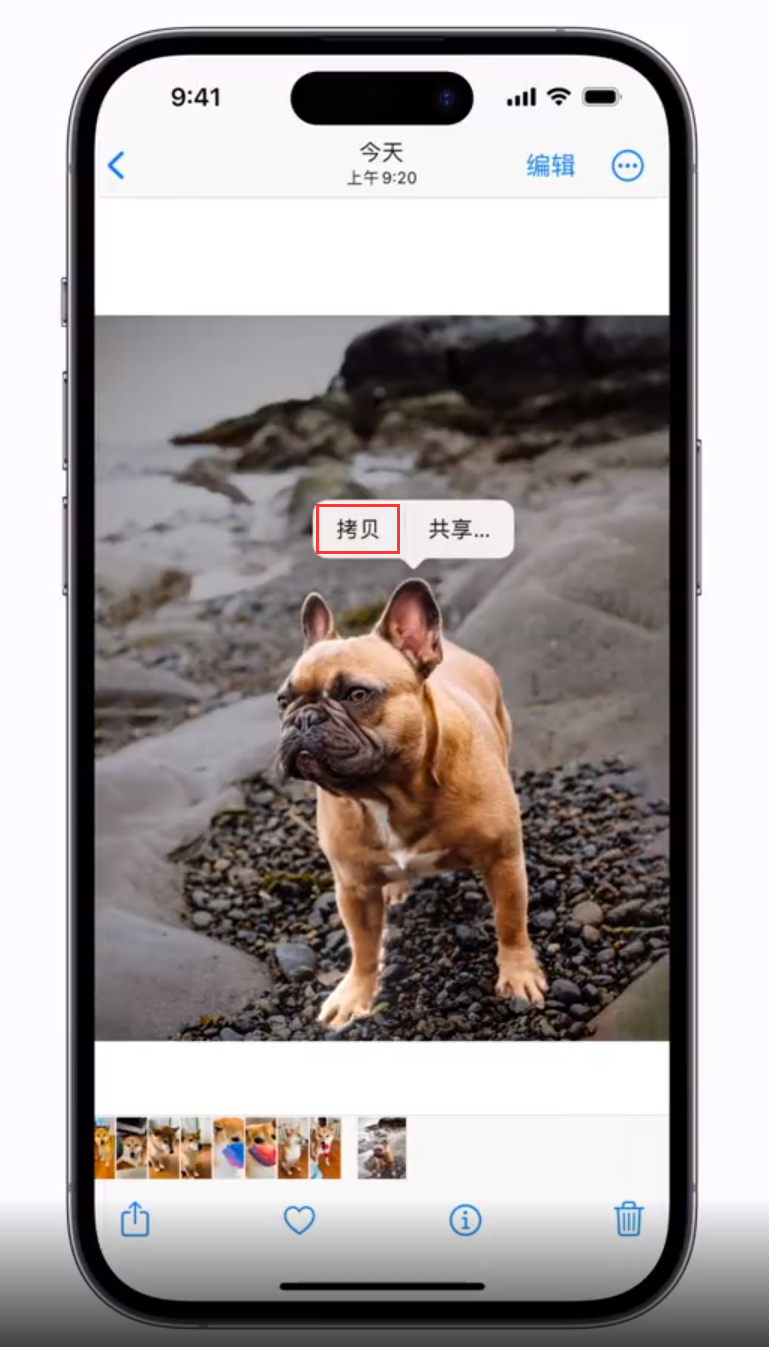 荔城苹果手机维修分享 iOS 16 自带一键抠图功能 