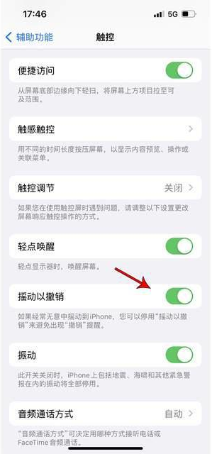 荔城苹果手机维修分享iPhone手机如何设置摇一摇删除文字 