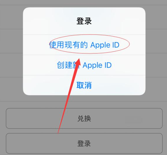 荔城苹果手机维修分享两台iPhone设备可以同时登录一个Apple ID吗 