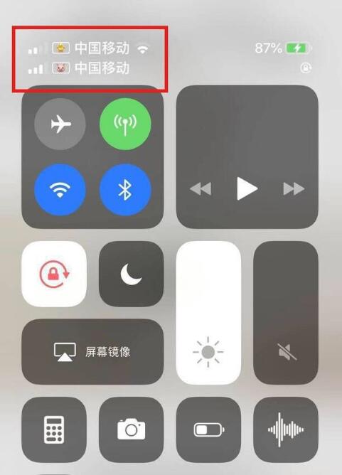 荔城苹果手机维修分享为 iPhone 12 双卡设置标签 