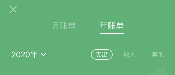 荔城苹果手机维修分享如何在 iPhone 上查看支付宝和微信年支出账单 