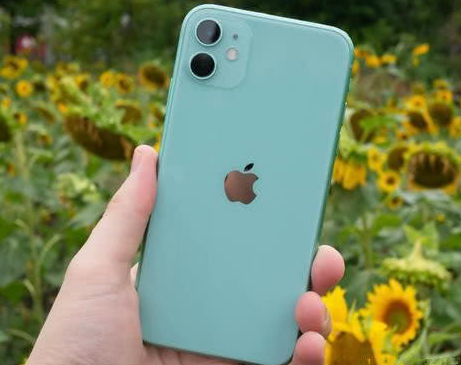 荔城苹果维修点分享iPhone 11锁屏密码认知与使用科普 