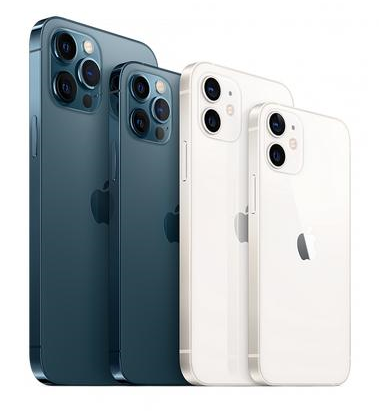 荔城苹果维修点分享iPhone 12 Pro黑屏小众问题解析 